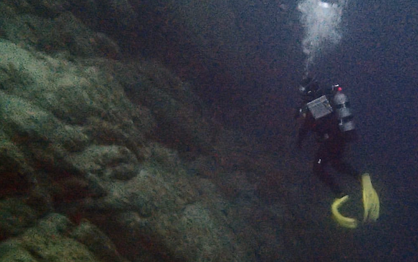 Into the Deep: The Secret Lives of Fishes Off Carmel’s Storied Coastline