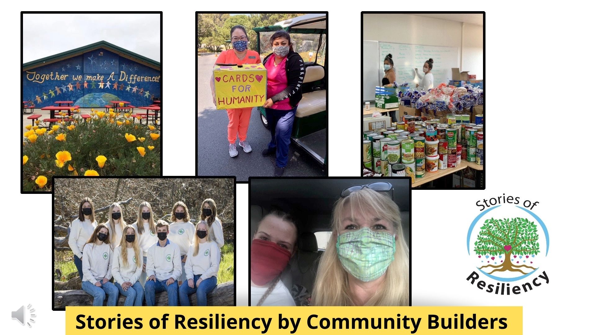 Stories of Resiliency by Community Builders