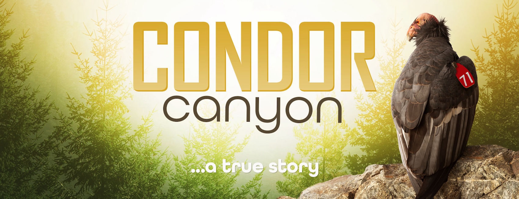 Condor Canyon- A True Story